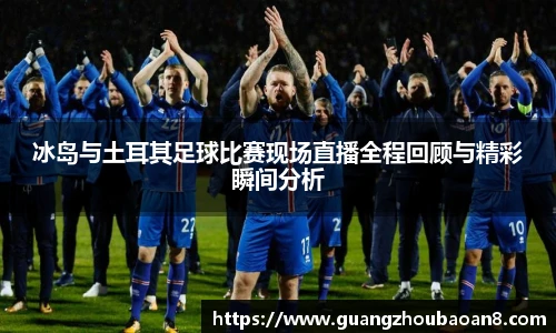 冰岛与土耳其足球比赛现场直播全程回顾与精彩瞬间分析